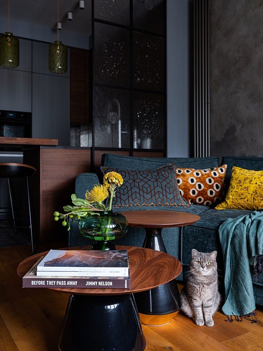 Глубокие темные цвета в интерьере #1