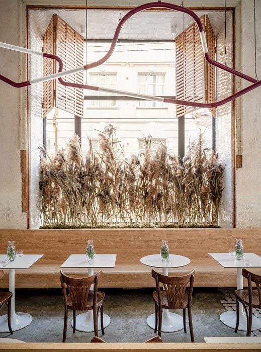 Сухие растения в интерьере #2